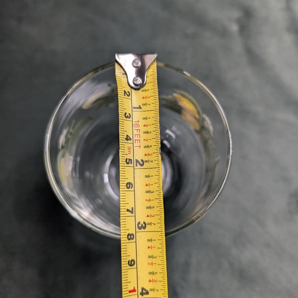 Steamless Glass Lemon Citrus Fruit Wine Juice Water Glasses. Garden Party - Picture 13 of 14